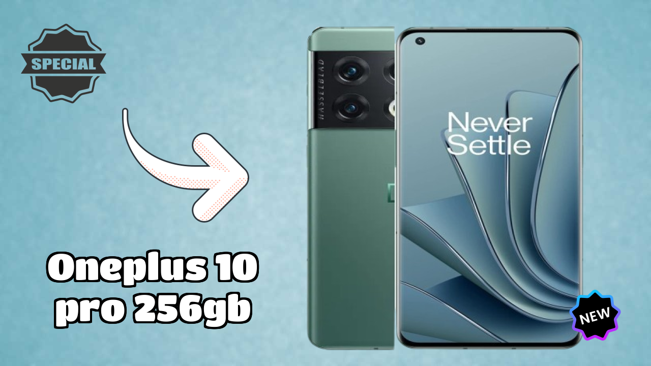 OnePlus 10 Pro 256GB Camera Review: 48 MP + 50 MP + 8 MP Rear Camera Photo Quality